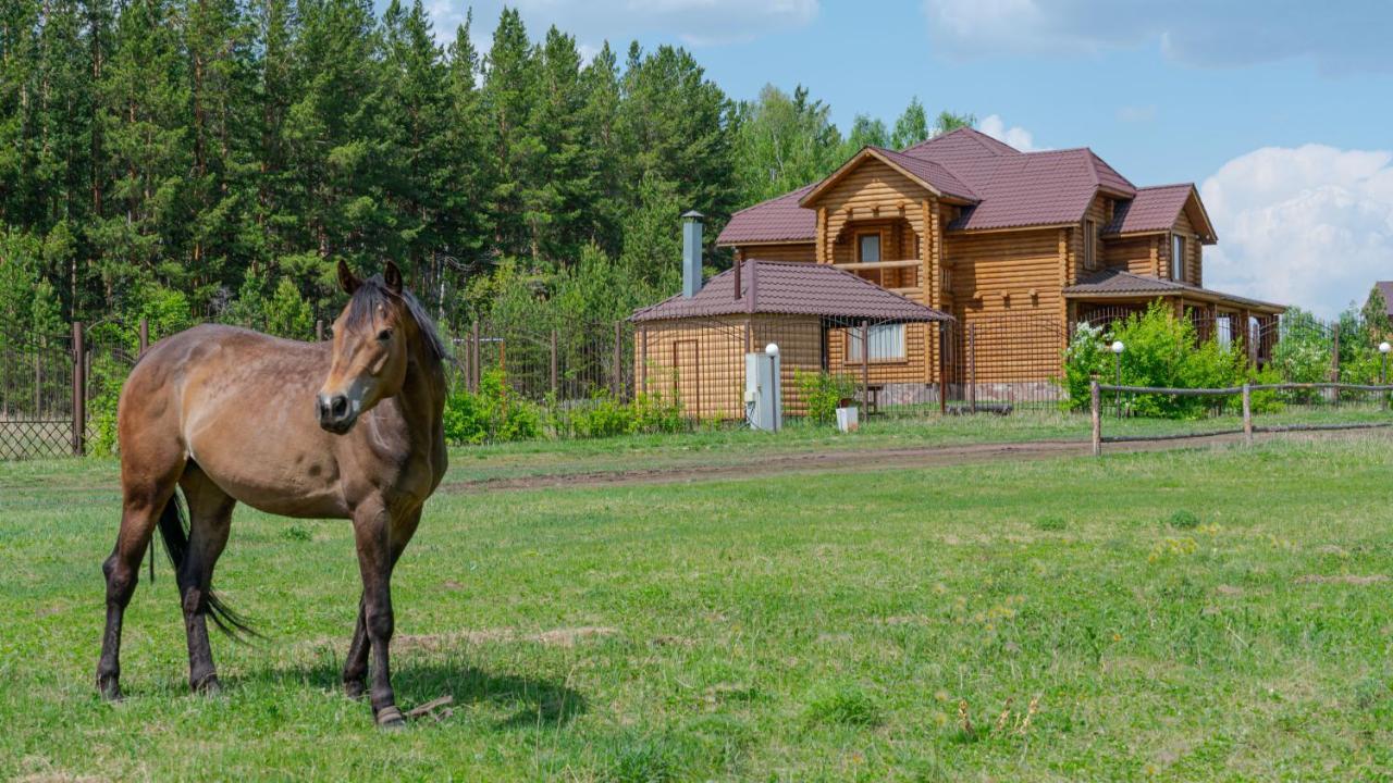 Земляничная Поляна Боровое Shchuchinskiy Exterior foto